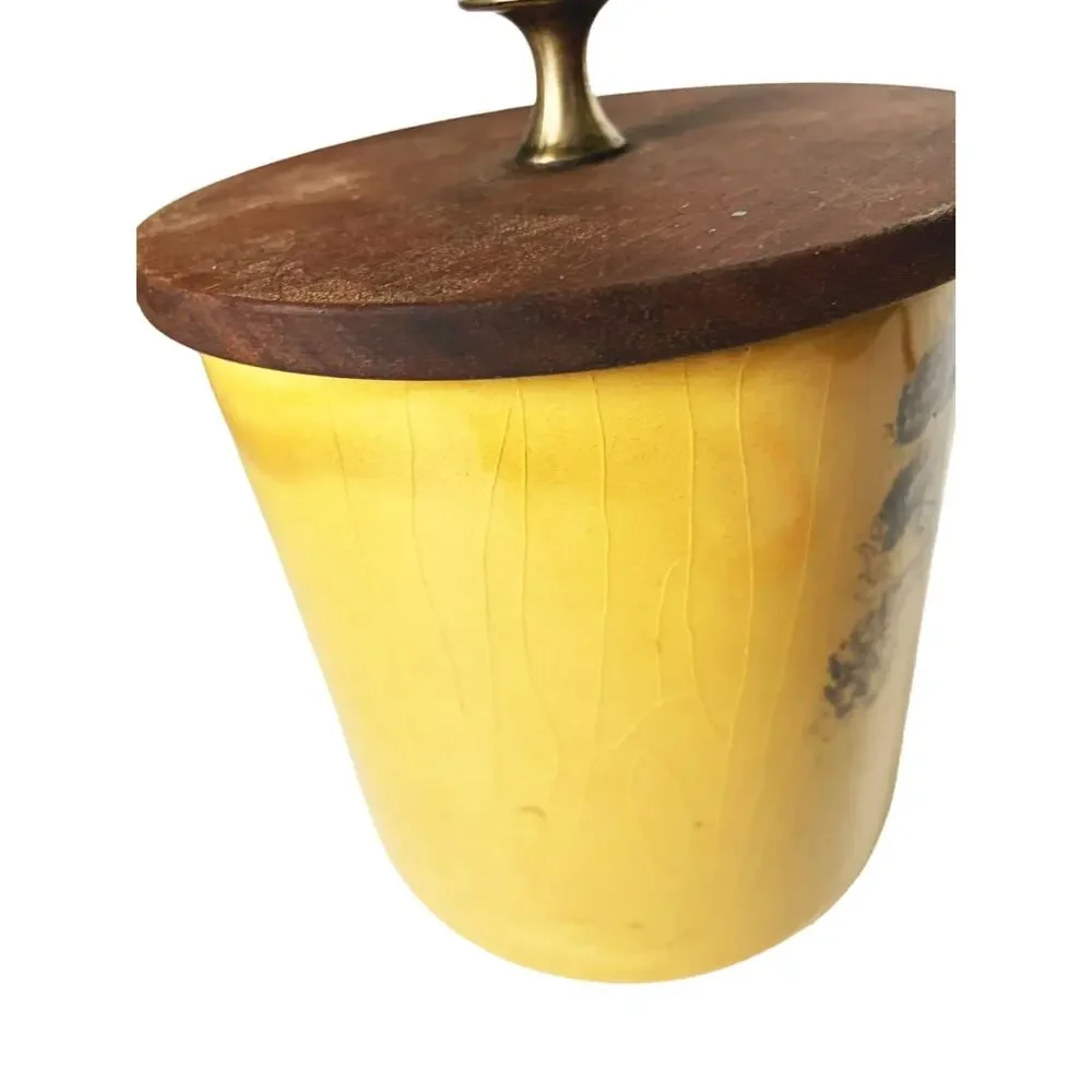 Vintage 70s Mushroom Glass Jar with Wooden Lid